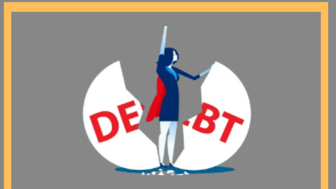 Debt